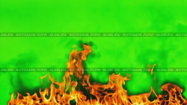 Orange Red Flames Engulf on green screen background. Vibrant fire animated on green backdrop. Burning flame animation. Frame Template. Chroma key. Motion graphics. Creative video for overlay. Inferno. Стоковое AI-видео, аниматор Марина Демидюк / Фотобанк Лори