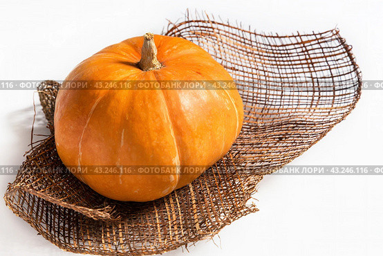 Оранжевая тыква лежит на коричневой декоративной сетке на белом фоне.  Orange pumpkin on white background. Стоковое фото, фотограф Лариса Гордеева / Фотобанк Лори