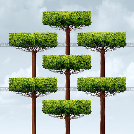 Organization structure growth as a group og organized growing trees in a business structure as a financial corporate metaphor for networking assembly in a 3D illustration style. Стоковое фото, агентство Ingram Publishing / Фотобанк Лори