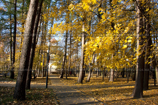 Осень в городском парке. Стоковое фото, фотограф Виктор Зандер / Фотобанк Лори