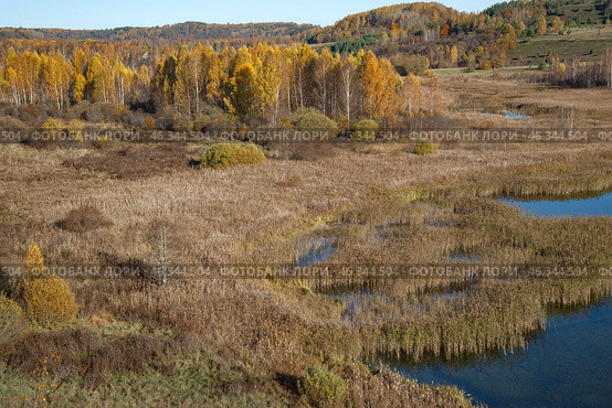 Осенний день в Изборско-Мальской долине. Псковская область. Стоковое фото, фотограф Анна Карасева / Фотобанк Лори