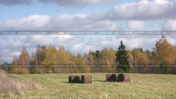 Осенний пейзаж. Стоковое видео, видеограф Андрей Ежов / Фотобанк Лори