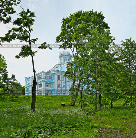 Особняк Воронцова (усадьба Новознаменка, Санкт-Петербург), сине-белый дворец в стиле барокко работы Трезини и Ринальди, летний вид с зелёным лугом. Стоковое фото, фотограф Елена  Попкова / Фотобанк Лори