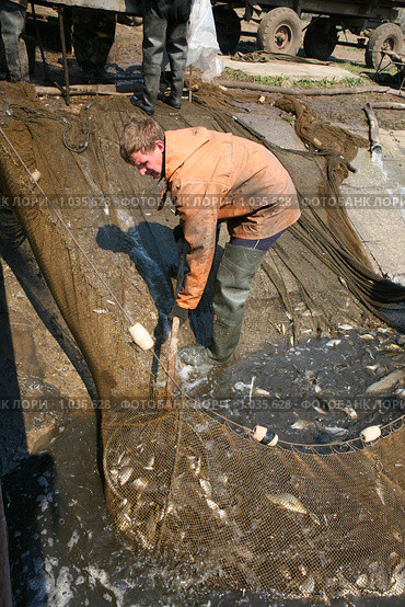 Отлов  карпа (2009 год). Редакционное фото, фотограф Vdovina Elena / Фотобанк Лори