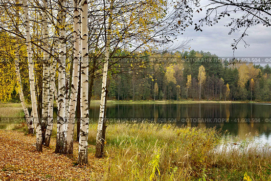 Озеро Светлояр где затонул град Китеж. Нижегородская область. Стоковое фото, фотограф Елена Ковалева / Фотобанк Лори