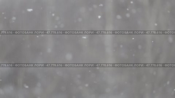 Падающий снег, серый фон. Стоковое видео, видеограф Евгений Горбунов / Фотобанк Лори