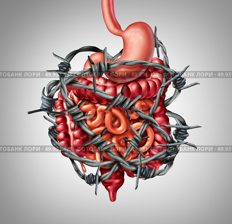 Painful digestion IBS or irritable bowel syndrome and intestine pain or Intestinal discomfort inflammation problem or constipation as barbed wire with 3D illustration elements. Стоковое фото, агентство Ingram Publishing / Фотобанк Лори