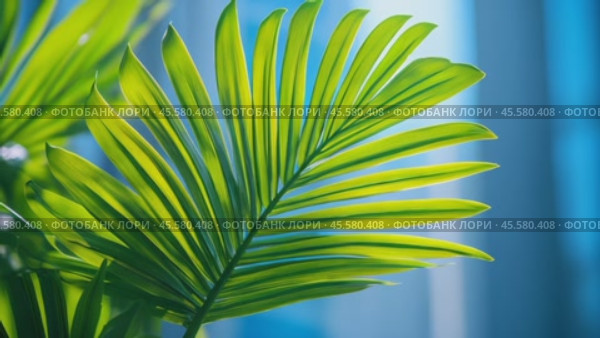 Palm leaf against backdrop of modern skyscrapers under bright blue sky, blending tropical nature with urban architecture. Ideal for promoting luxury travel, city escapes, or tropical urban living. Стоковое AI-видео, аниматор Ирина Михайличенко / Фотобанк Лори