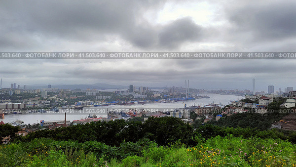 Панорама морского города. Общий вид на столицу Приморского края и бухту Золотой рог. Порты, доки, причалы, заводы в акватории. Жилые дома на сопках утопают в зелени. Владивосток, Россия, 13 августа 2023. Panorama of sea city. General view of capital of Primorsky Krai and Golden Horn Bay. Ports, docks, berths in water area. Buildings on hills buried in greenery. Vladivostok, Russia, August 13, 2023. Редакционное фото, фотограф Ирина / Фотобанк Лори