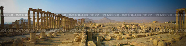 Panorama of Palmyra columns and ancient city, destroyed now, Syria (2011 год). Стоковое фото, фотограф Сергей Майоров / Фотобанк Лори