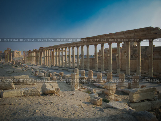 Panorama of Palmyra columns and ancient city, destroyed now, Syria (2011 год). Стоковое фото, фотограф Сергей Майоров / Фотобанк Лори