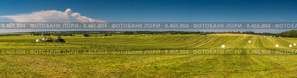 Панорама поля со стогами сена в белых пакетах. Стоковое фото, фотограф Ольга Сейфутдинова / Фотобанк Лори