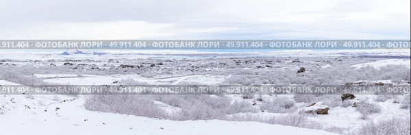 panorama shot of  Winter landscape with snow covered trees at Dimmuborgir Lake Myvatn, Iceland. Стоковое фото, агентство Ingram Publishing / Фотобанк Лори