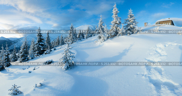 Панорама зимних гор ранним утром. Карпаты. Украина. Стоковое фото, фотограф Юрий Брыкайло / Фотобанк Лори