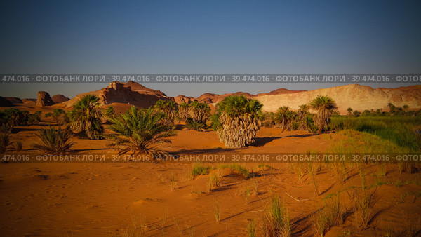 Panoramic view to Boukkou lake group of Ounianga Serir lakes at the Ennedi, Chad. Стоковое фото, фотограф Сергей Майоров / Фотобанк Лори