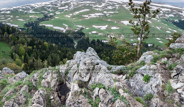 Панорамный вид на плато Лаго - Наки. Лес в горах Адыгеи. Краснодарский край, Республика Адыгея. Стоковое фото, фотограф виктор химич / Фотобанк Лори