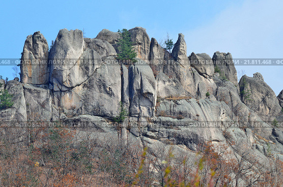 Парк Драконов, Чистоводное, Приморский край (2015 год). Стоковое фото, фотограф Овчинникова Ирина / Фотобанк Лори