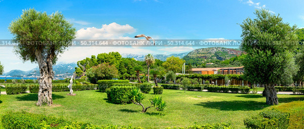 Park near the island of Sveti Stefan. Стоковое фото, агентство Ingram Publishing / Фотобанк Лори