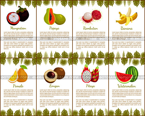 Passion fruit and papaya posters set with text sample rambutan and kumquat. Banana and pitaya watermelon slices with seeds. Tropical and exotic fruits. Passion Fruit and Papaya Watermelon Set Vector. Стоковая иллюстрация, агентство Ingram Publishing / Фотобанк Лори