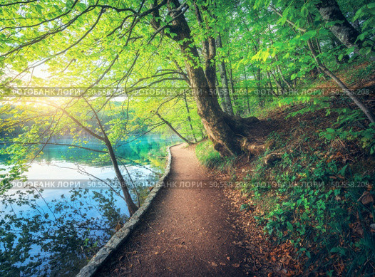 Path in beautiful forest near the lake at sunset in spring. Plitvice Lakes, Croatia. Colorful landscape with trail, trees with green leaves, blue water in blooming park in summer. Walkway in woods . Стоковое фото, агентство Ingram Publishing / Фотобанк Лори
