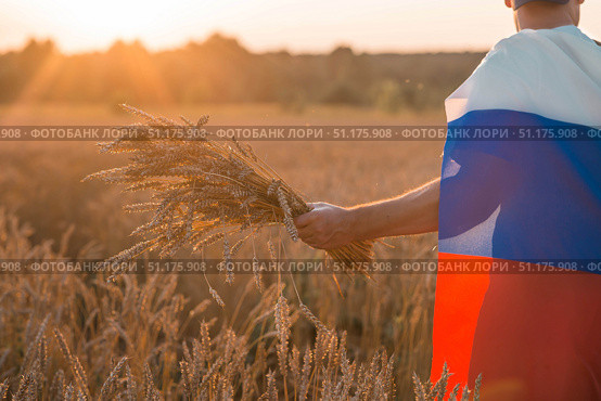 Patriotism. A man with a Russian flag in a wheat field at sunset. A man holding golden wheat stalks against the backdrop of a ripening field. The concept of planting and harvesting a bountiful harvest. Стоковое фото, фотограф Photojuli / Фотобанк Лори