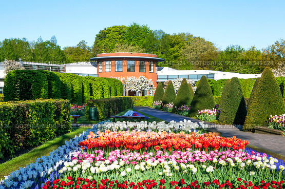 Павильон Оранье-Нассау (Oranje Nassau). Королевский парк цветов Кёкенхоф (Keukenhof). Лиссе. Нидерланды (2018 год). Редакционное фото, фотограф Сергей Афанасьев / Фотобанк Лори