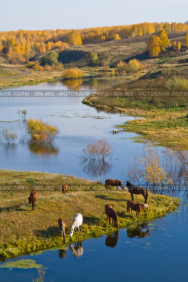 Пейзаж. Стоковое фото, фотограф ВЛАДИМИР КУДРИНСКИЙ / Фотобанк Лори