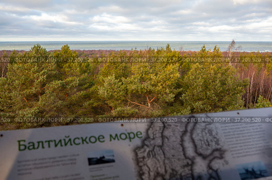 Пейзаж с видом на озеро Балтийское море. Туристический маршрут "Высота Мюллера". Национальный парк "Куршская коса". Калининградская область (2021 год). Редакционное фото, фотограф Сергей Афанасьев / Фотобанк Лори