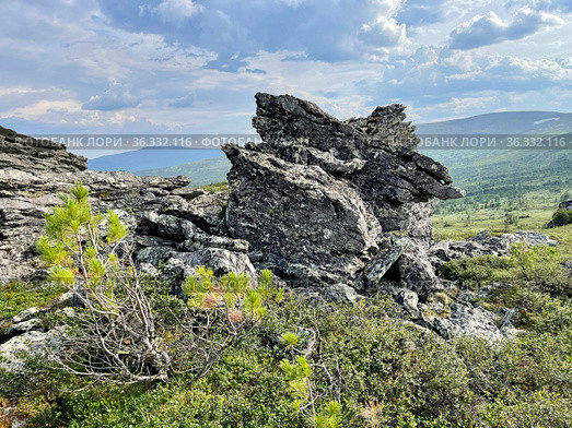 Перевал Дятлова в июле. Северный Урал (2021 год). Стоковое фото, фотограф Овчинникова Ирина / Фотобанк Лори