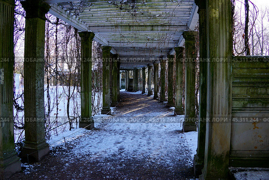 Пергола (Трельяжная беседка) в Екатерининском парке. Стоковое фото, фотограф Максим Соколов / Фотобанк Лори