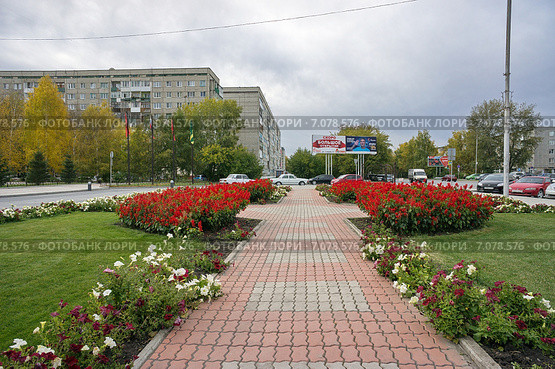 Пешеходная дорожка с цветами на площади Ленина. Город Ачинск (2013 год). Редакционное фото, фотограф Светлана Попова / Фотобанк Лори