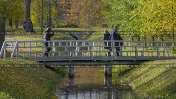 Петергоф, парк Александрия осенью. Канал парка с утками. Peterhof, Alexandria Park in autumn. The canal of the park with ducks. (2021 год). Редакционное видео, видеограф Евгений Романов / Фотобанк Лори