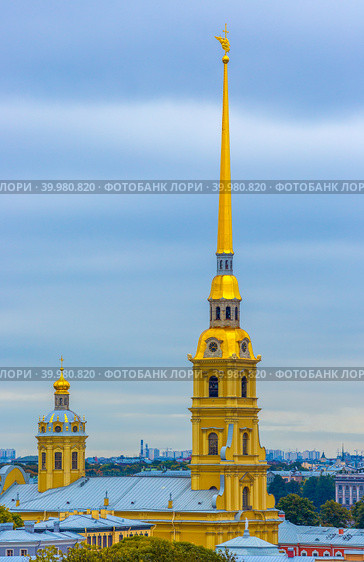 Петропавловский собор, Санкт-Петербург, Россия. Красивое высокое здание с позолоченным шпилем. На вершине колокольни находится фигура ангела с крестом. Историческая достопримечательность Санкт-Петербурга. Стоковое фото, фотограф Андрей Степанов / Фотобанк Лори