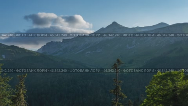 Pine trees in mountains at sunset. Стоковое видео, видеограф Михаил Коханчиков / Фотобанк Лори