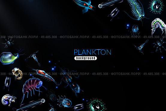 Plankton abstract background with marine different small organism both phytoplankton and zooplankton cartoon vector illustration. Стоковая иллюстрация, агентство Ingram Publishing / Фотобанк Лори