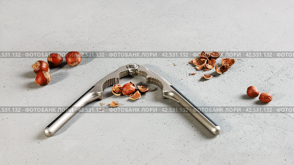 Pliers for splitting nut shells, whole and divided of hazelnuts, on gray surface. Стоковое фото, фотограф Vladimir Vikhrov / Фотобанк Лори
