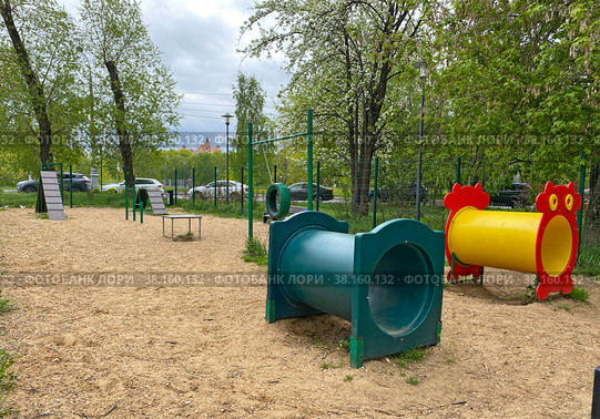 Площадка для дрессировки собак (2022 год). Редакционное фото, фотограф Мария Кылосова / Фотобанк Лори