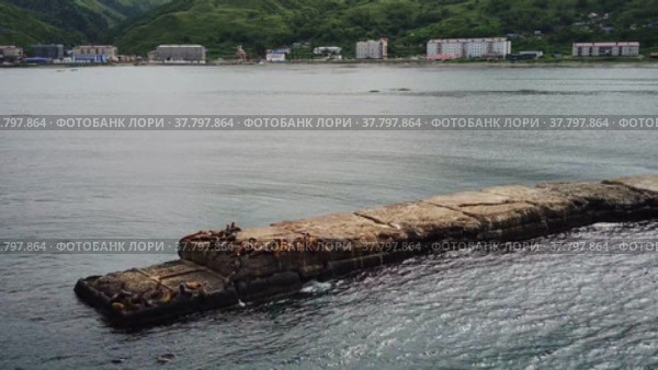Побережье Сахалина (2021 год). Стоковое видео, видеограф Анна Скопцова / Фотобанк Лори