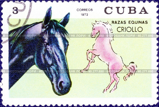 Почтовая марка с изображением лошади и надписью "Razas Equinas. Criollo" из серии "Породы лошадей". Куба, выпуск 1972 года. Стоковое фото, фотограф Сергей Елизарьев / Фотобанк Лори