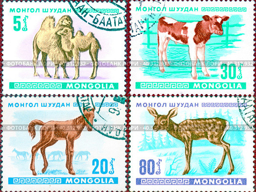 Почтовые марки с изображением молодых животных - теленок, жеребенок, верблюжонок, олененок. Серия "Животные". Филателия. Монголия, выпуск 1968 года. Стоковое фото, фотограф Сергей Елизарьев / Фотобанк Лори