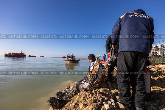 Подготовка водолаза МЧС к спуску в воду для поиска мазута. Редакционное фото, фотограф Алексей Шматков / Фотобанк Лори
