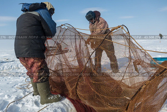 Подледный лов рыбы в Обской губе на Ямале (2018 год). Редакционное фото, фотограф Николай Гернет / Фотобанк Лори