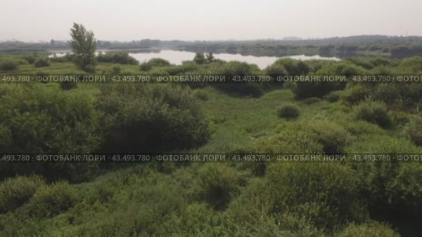 Пойма реки. Стоковое видео, видеограф Владимир Абраменко / Фотобанк Лори