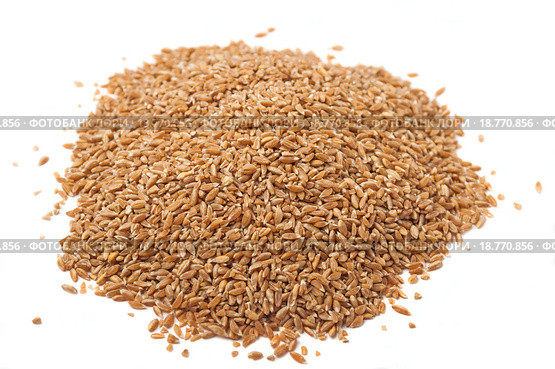 Полба, или Спельта  (Triticum spelta). На белом фоне. Стоковое фото, фотограф Алёшина Оксана / Фотобанк Лори