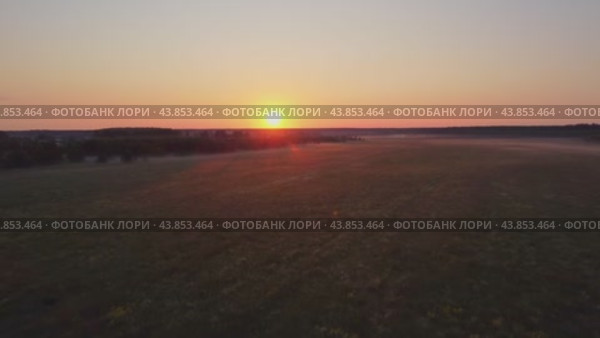 Полёт на дроне над полем на восходе (2024 год). Стоковое видео, видеограф Павел Т. / Фотобанк Лори