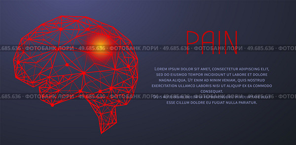Polygonal human brain made of red lines and dots. Medical research of internal organs, innovative approach concept. Organ of human central nervous system. Modern depiction of organ regulating body. Organ of human central nervous system. Modern depiction of brain made of red lines and dots. Стоковая иллюстрация, агентство Ingram Publishing / Фотобанк Лори