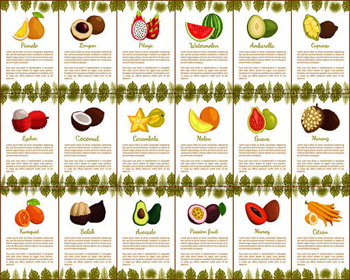 Pomelo and longan, coconut and citron, passion fruit and mango slice. Carambola and cupuacu, papaya and watermelon, salak and marang posters vector. Pomelo and Longan Posters Vector Illustration. Стоковая иллюстрация, агентство Ingram Publishing / Фотобанк Лори