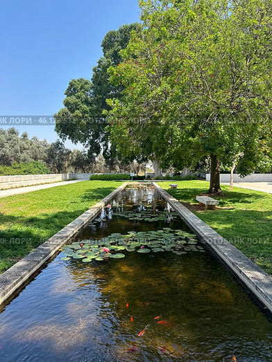 Pond with water lilies on the campus of the Weizmann Institute of Science (2024 год). Стоковое фото, фотограф Irina Opachevsky / Фотобанк Лори