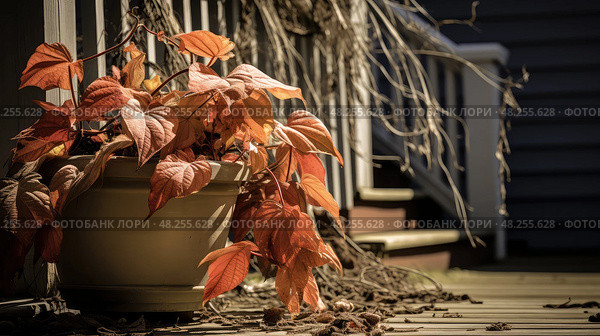 porch wilted plant ai generated. Стоковое AI-изображение, AI-художник Vectorwin / Фотобанк Лори