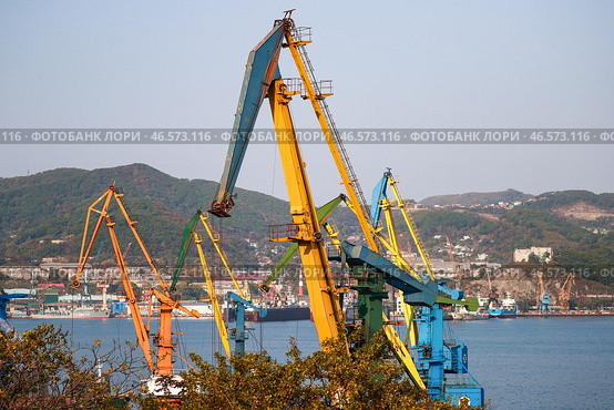 Портальные краны на территории морского торгового порта (2022 год). Стоковое фото, фотограф Юрий Смитюк / ТАСС / Фотобанк Лори
